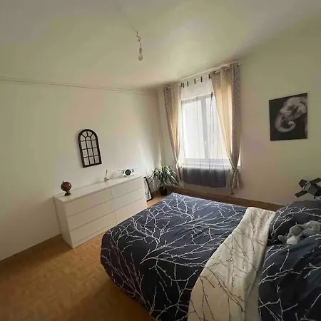 T3 En Plein Centre-ville Chatellerault, Châtellerault